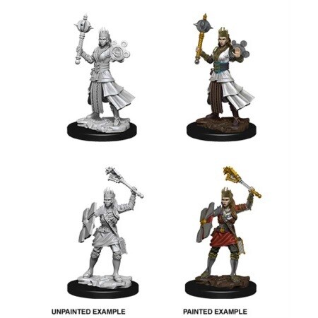 NOLZUR'S MARVELOUS UNPAINTED MINIATURES -W8-FEMALE HUMAN CLERIC