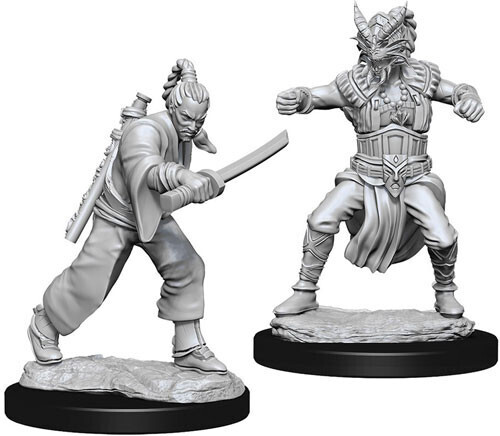 UNPAINTED -W8-MALE HUMAN MONK