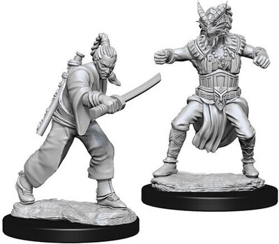 UNPAINTED -W8-MALE HUMAN MONK