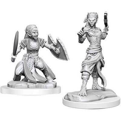 DUNGEONS AND DRAGONS NOLZUR'S MARVELOUS MINIATURES: W20 SHIFTER FIGHTER