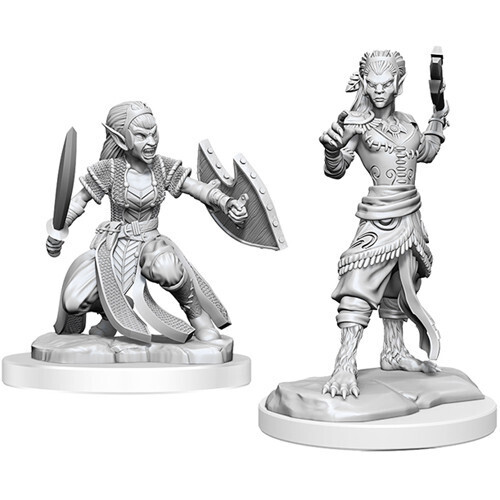 DUNGEONS AND DRAGONS NOLZUR'S MARVELOUS MINIATURES: W20 SHIFTER FIGHTER