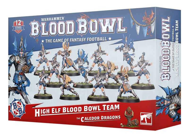 BLOOD BOWL: HIGH ELF BLOOD BOWL TEAM