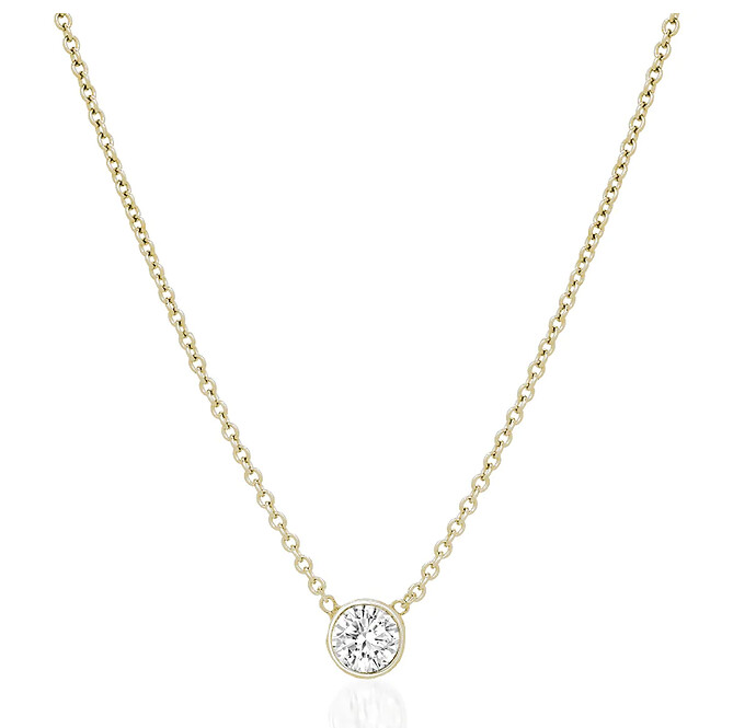 RED CARPET TRENDS - 14K Sole Necklace