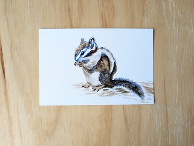 Mountain West Critters Notecard Single | Chipmunk