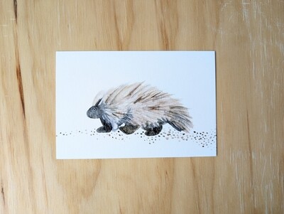 Mountain West Critters Notecard Single | Porcupine