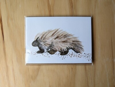 Mountain West Critters Notecards 5-Pack | Porcupine