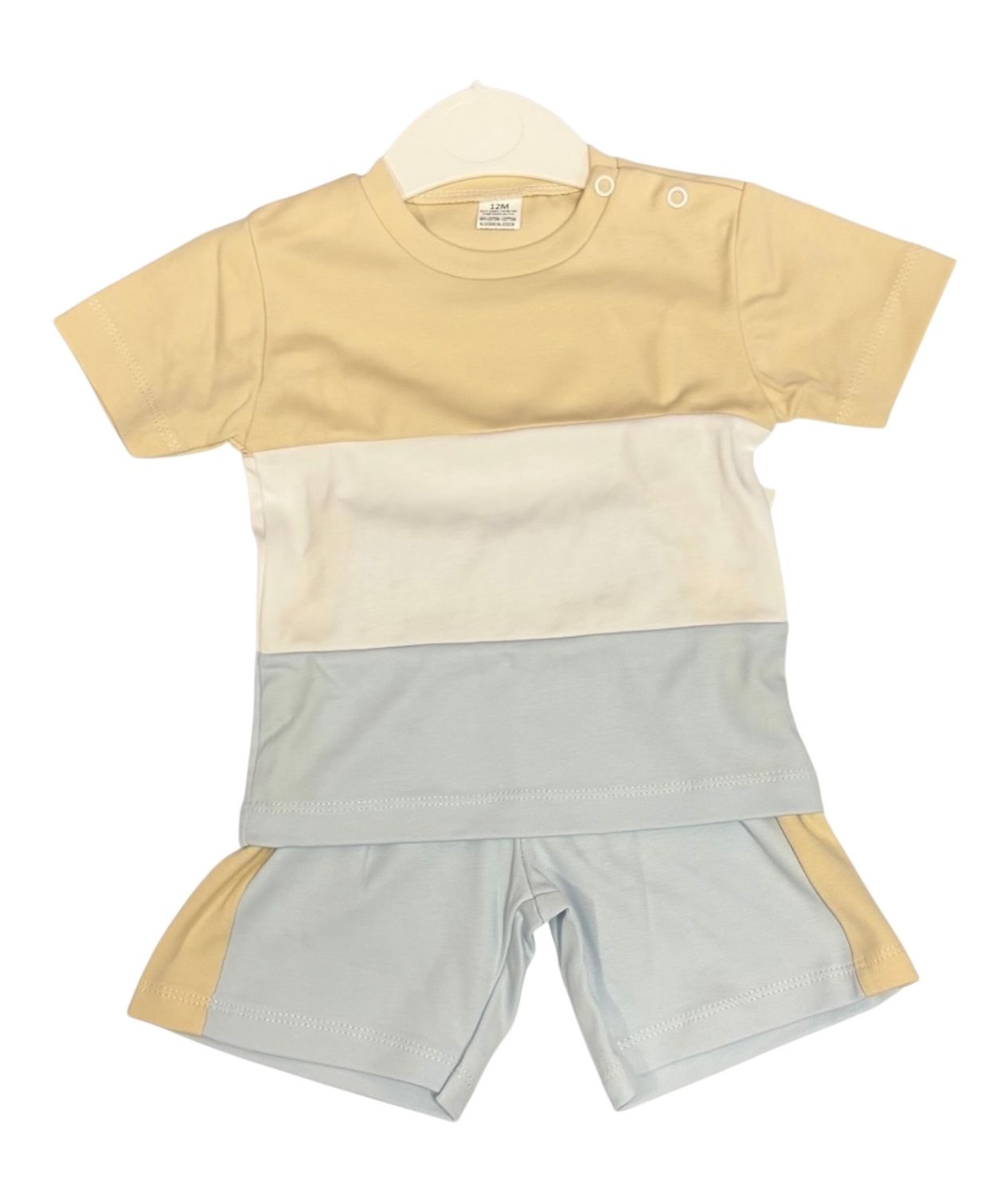 Boys 2 piece shorts set