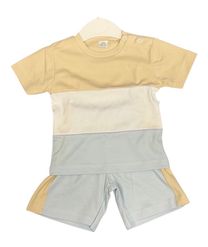 Boys 2 piece shorts set