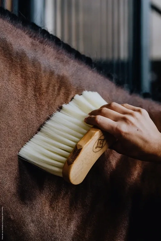 Brosse moyenne Longue Kentucky 82138NAT