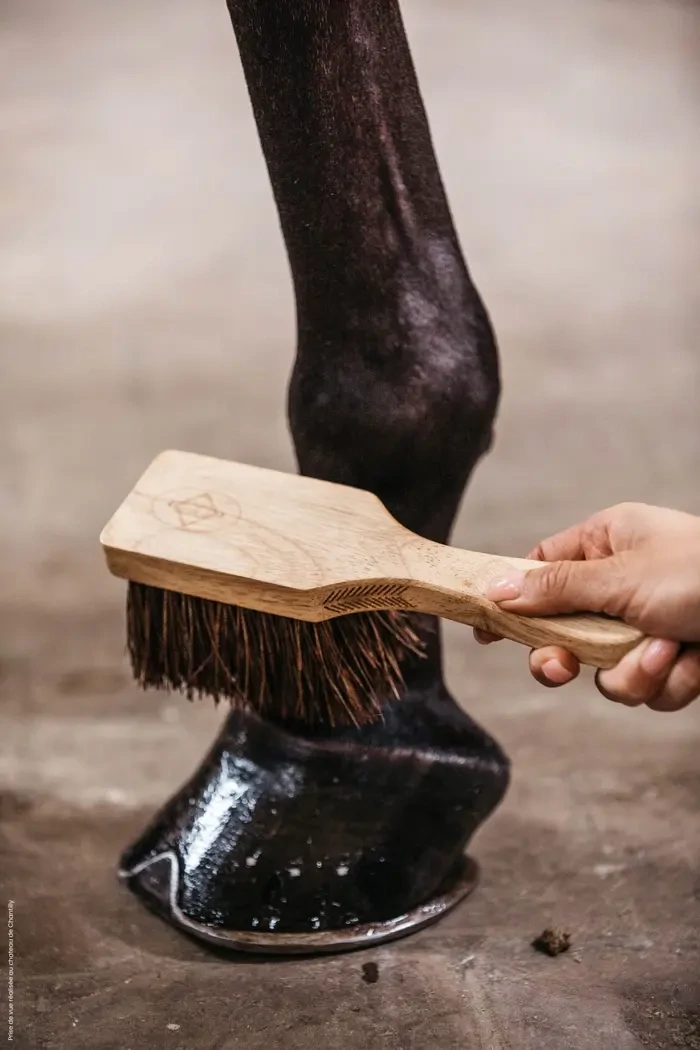 Hoof Brush Kentucky 82121