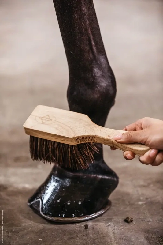 Brosse à sabots Kentucky 82121