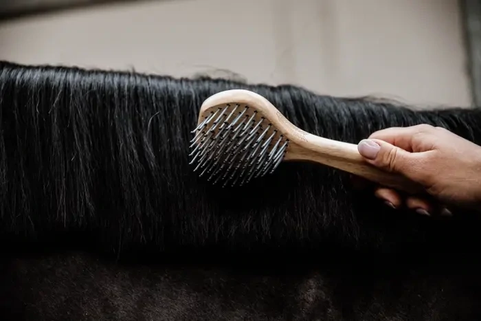 Brosse à crins Kentucky 82141