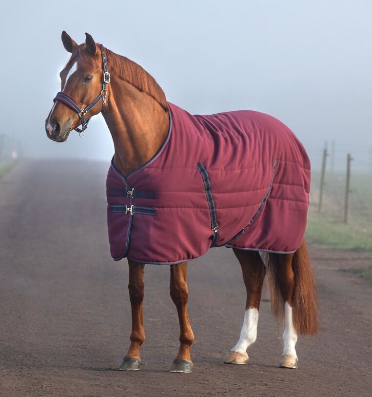 Couverture de Box Rambo 100g - Horseware  ABAAA2 Bordeaux