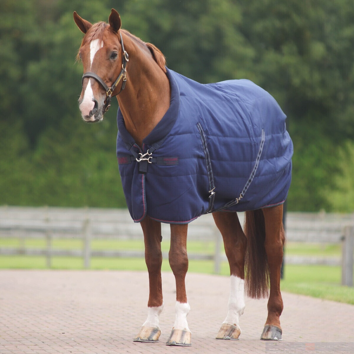 Couverture de Box Rambo Cosy 100g - Horseware  ABAE41 Navy