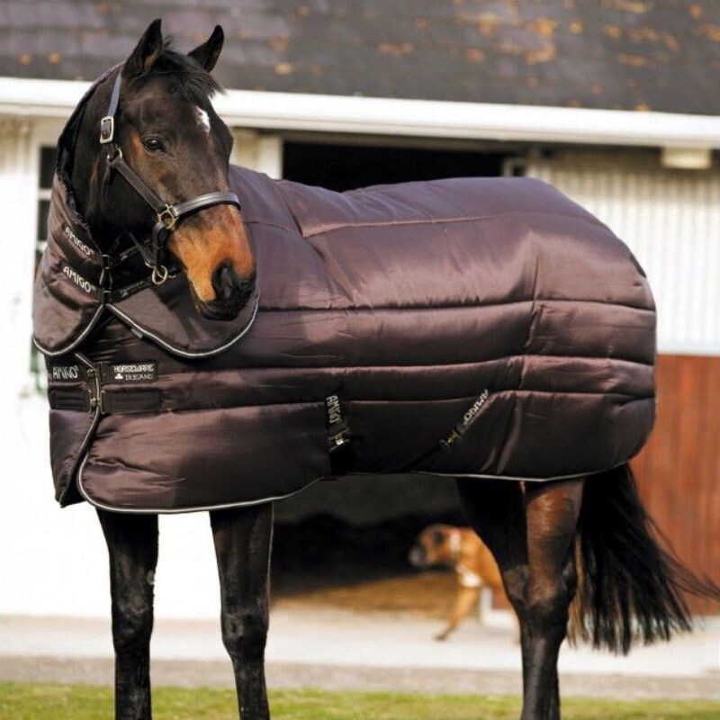 Amigo Insulator Plus 550gr Horseware ABRD14