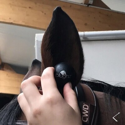 Bouchons d'oreilles et Bonnet Anti-Bruit