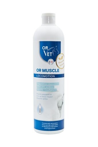 OR Muscle Or-Vet