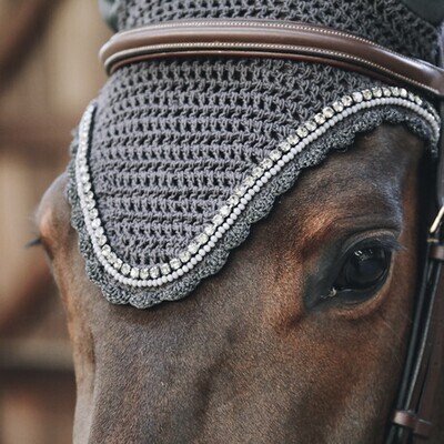 Fly Veil