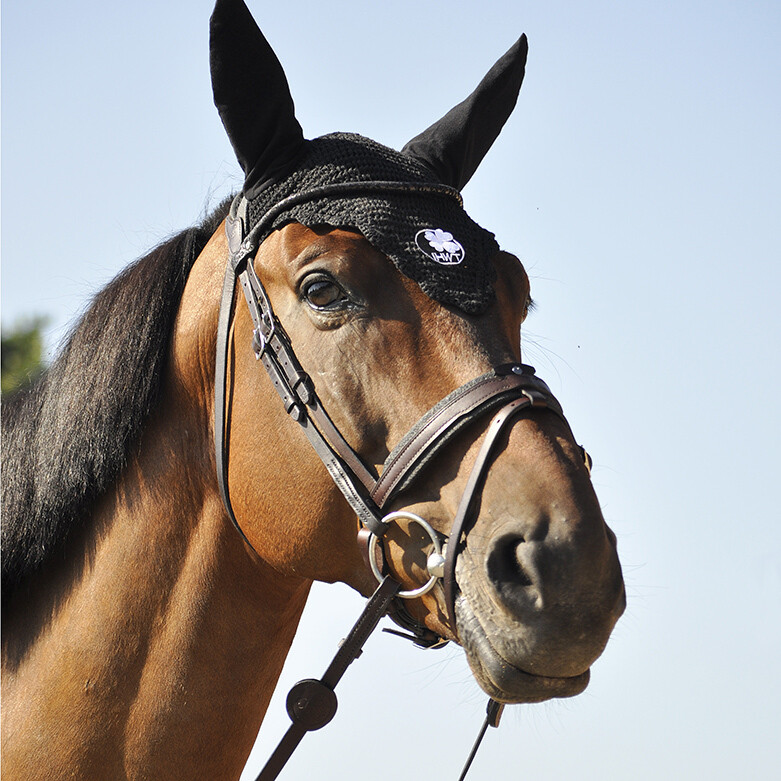 Evolution Contact bridle without pull-back IHWT