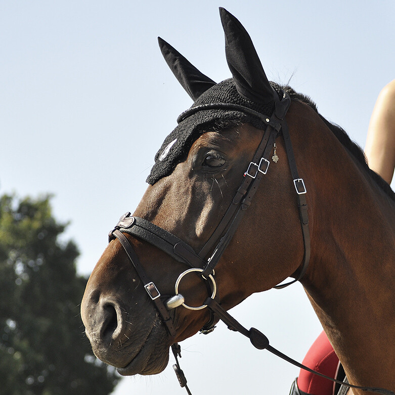 Evolution Soft T Contact bridle without pull-back IHWT