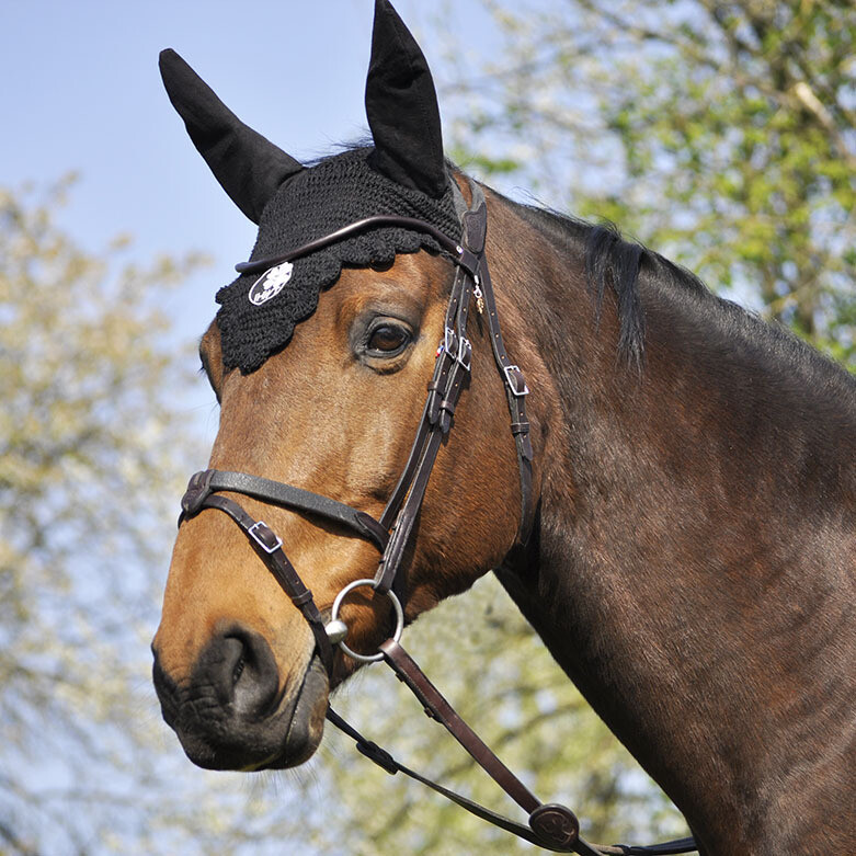Evolution Soft T bridle IHWT