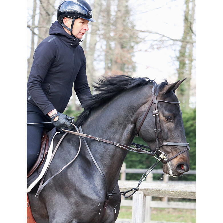 The Howlett training aid with reins  IHWT