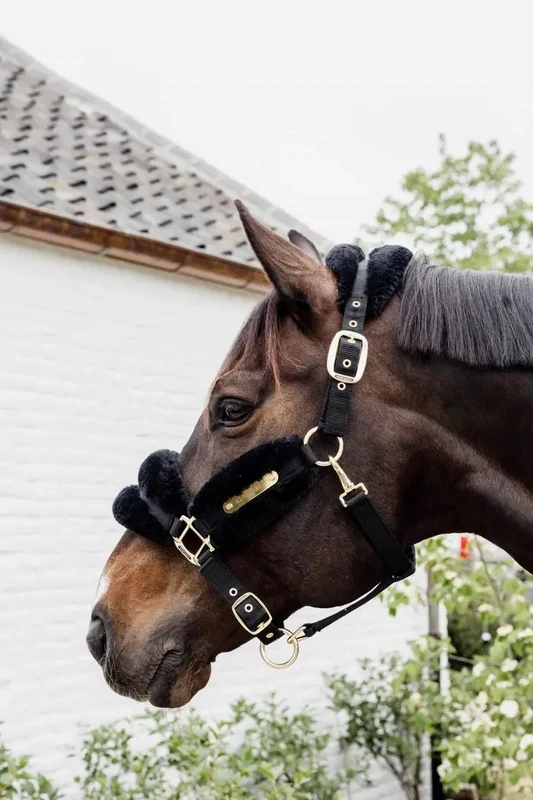 Licol Nylon mouton Soft  Kentucky 42565 Black
