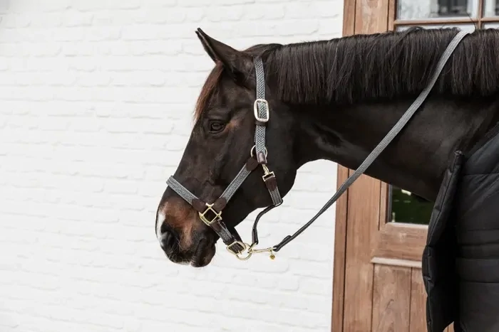 Plaited Nylon Halter Kentucky 42516 Grey