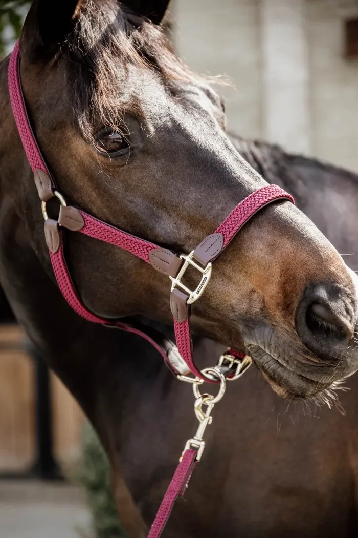 Plaited Nylon Halter Kentucky 42516 Bordeaux