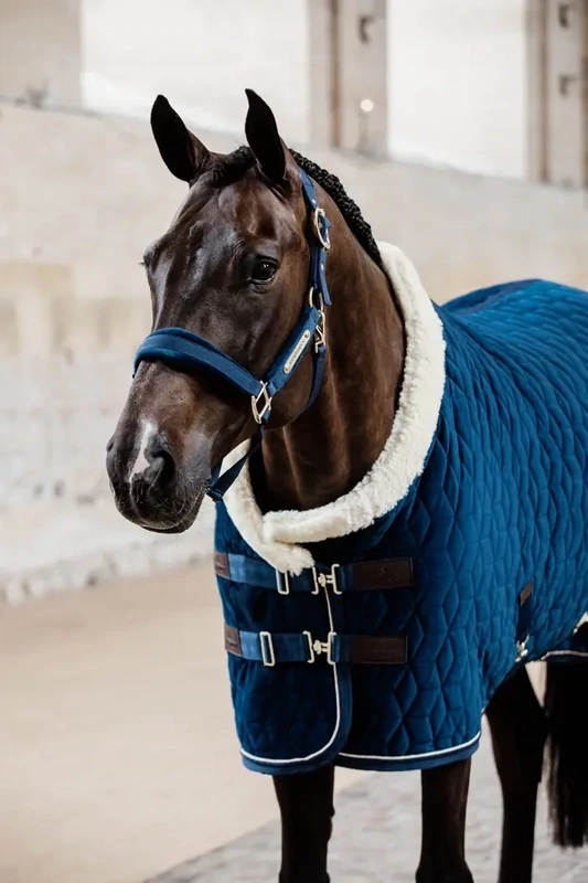 Licol Velvet Kentucky 42558 Navy