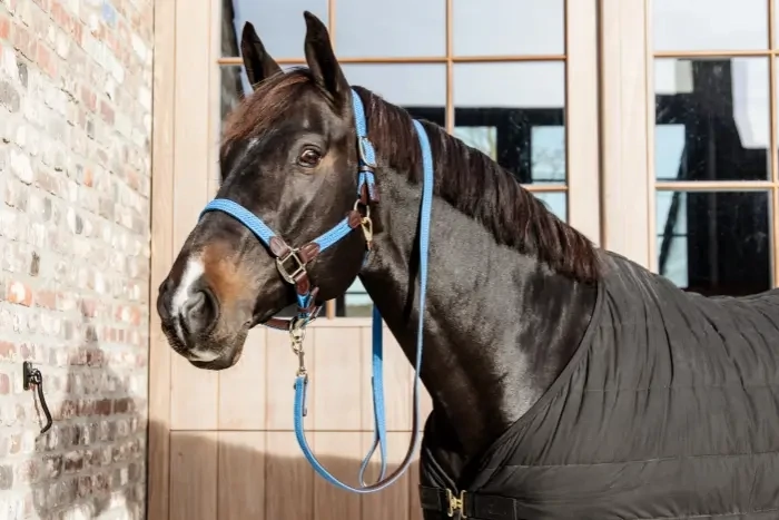 Plaited Nylon Halter Kentucky 42516 Light Blue