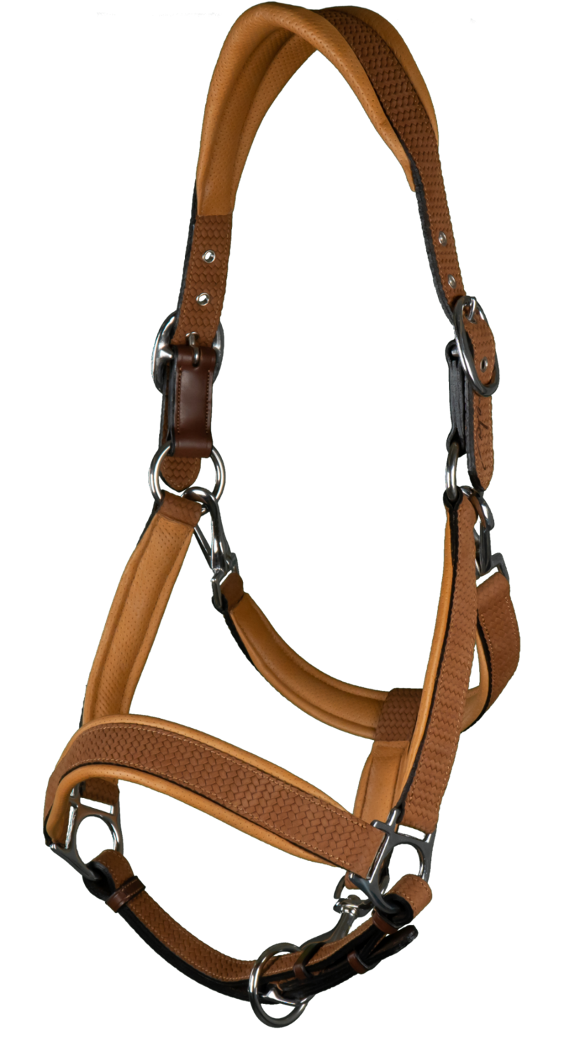 Licol Nubuck Dyon Tan