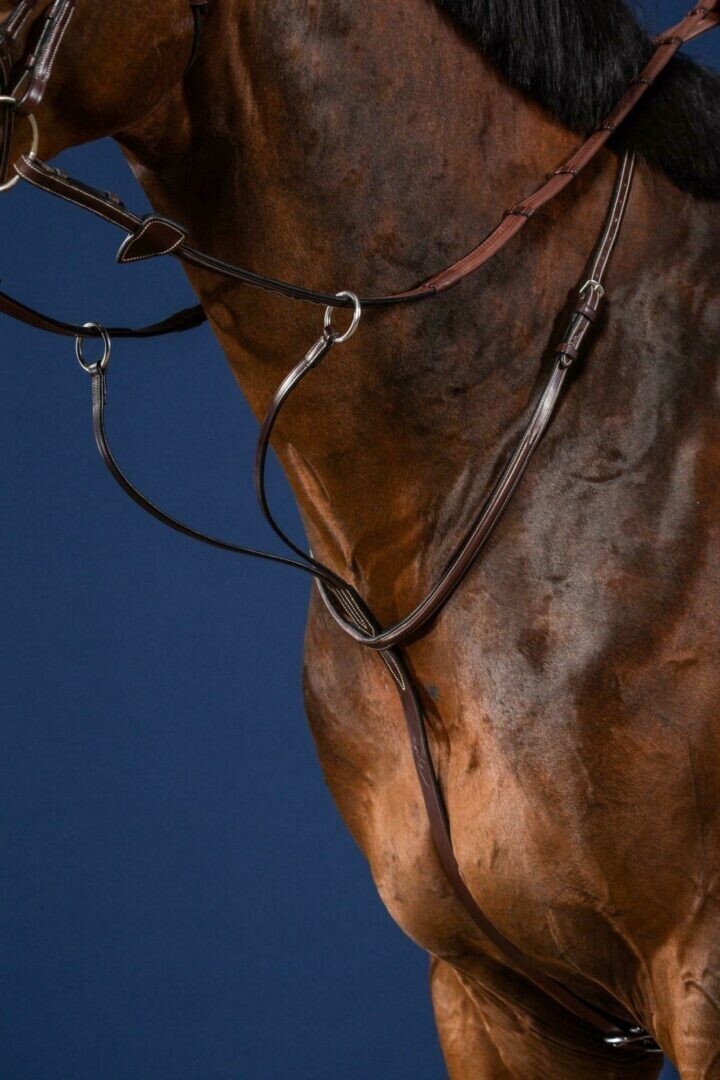 Martingale à anneaux Dyon US collection US07G