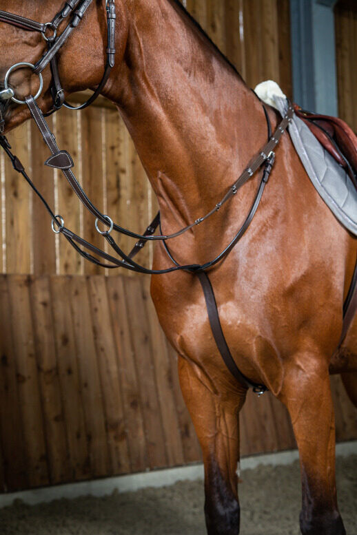 Martingale A Anneaux Dyon working Collection WO07G