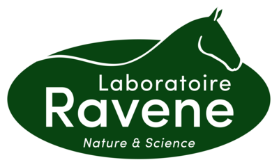 Ravene