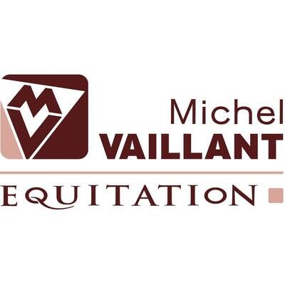 Michel Vaillant