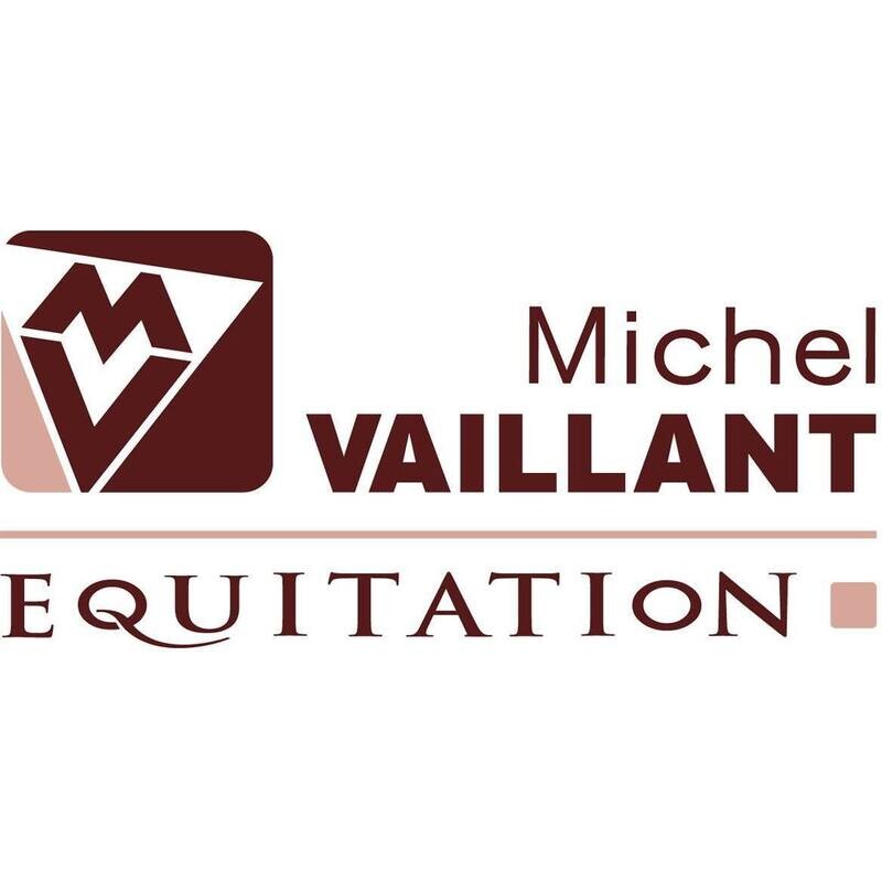 Michel Vaillant