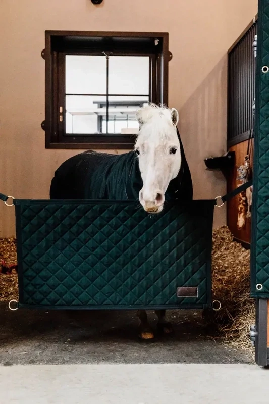 Stable Guard  Kentucky 82102 Green