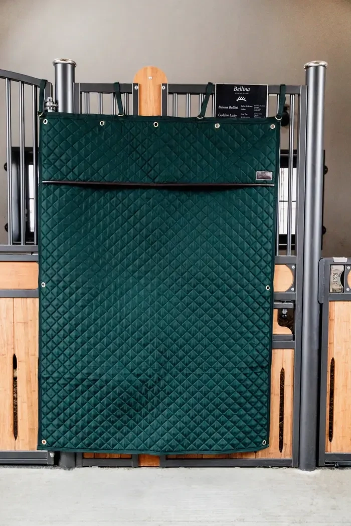 Tenture  de Boxe Kentucky 82101 Green