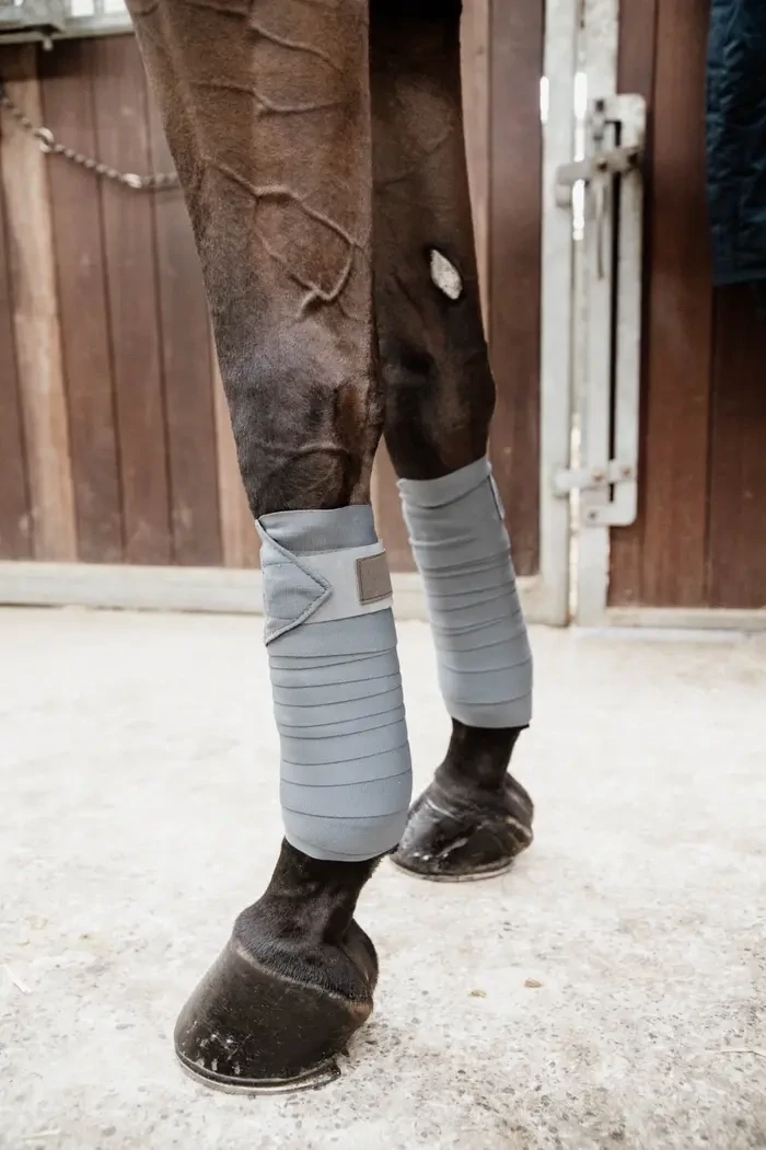 Repellent Working Bandages Kentucky 42110 Grey