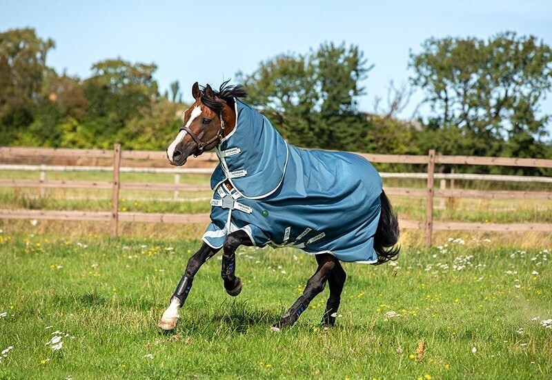 Outdoor Blanket Amigo Ameco 12 Plus 100g - Horseware AAROJ2