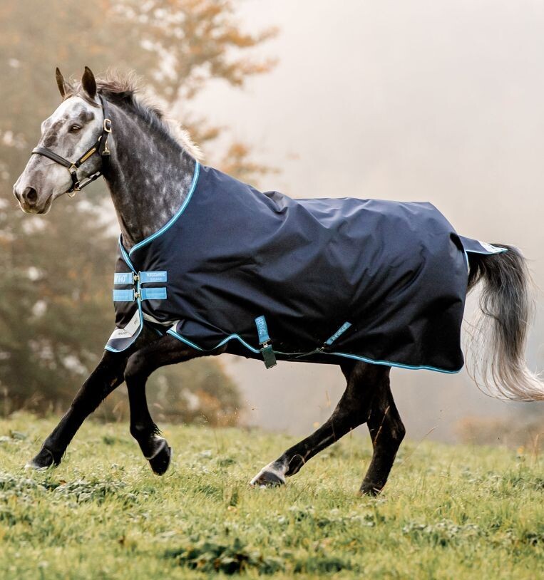Amigo® Bravo 12 Original Turnout (50g Light) Horseware AARAKO