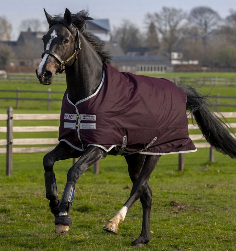 Amigo® Hero Ripstop Turnout (50g Light) Horseware AAPA91
