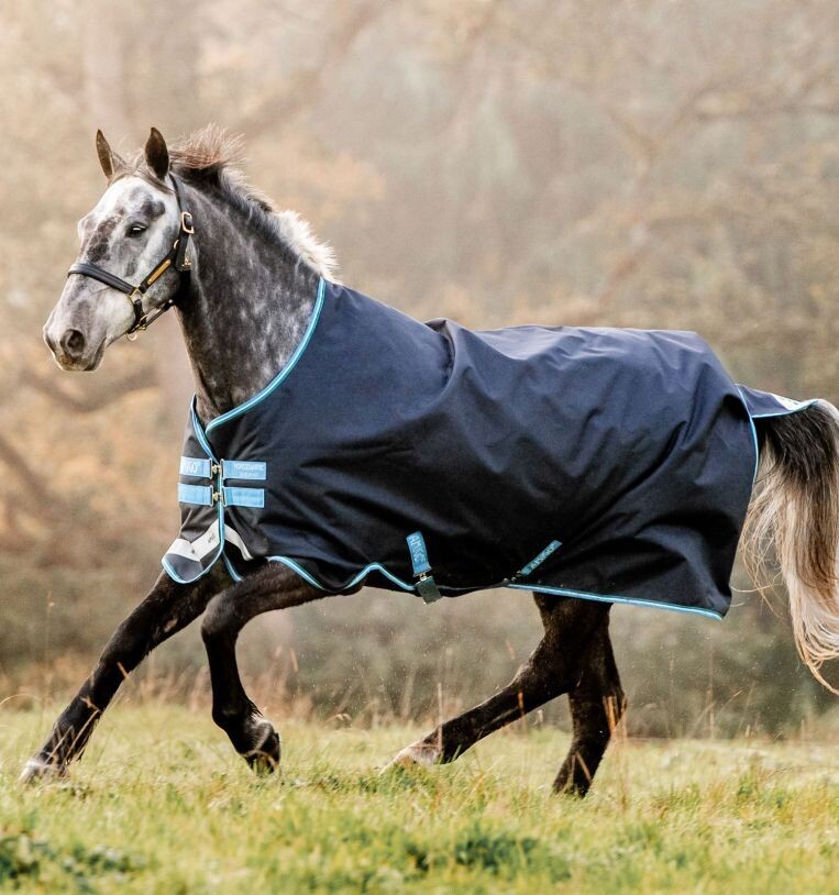 Amigo® Bravo 12 Original Turnout (100g Light) Horseware AARA16