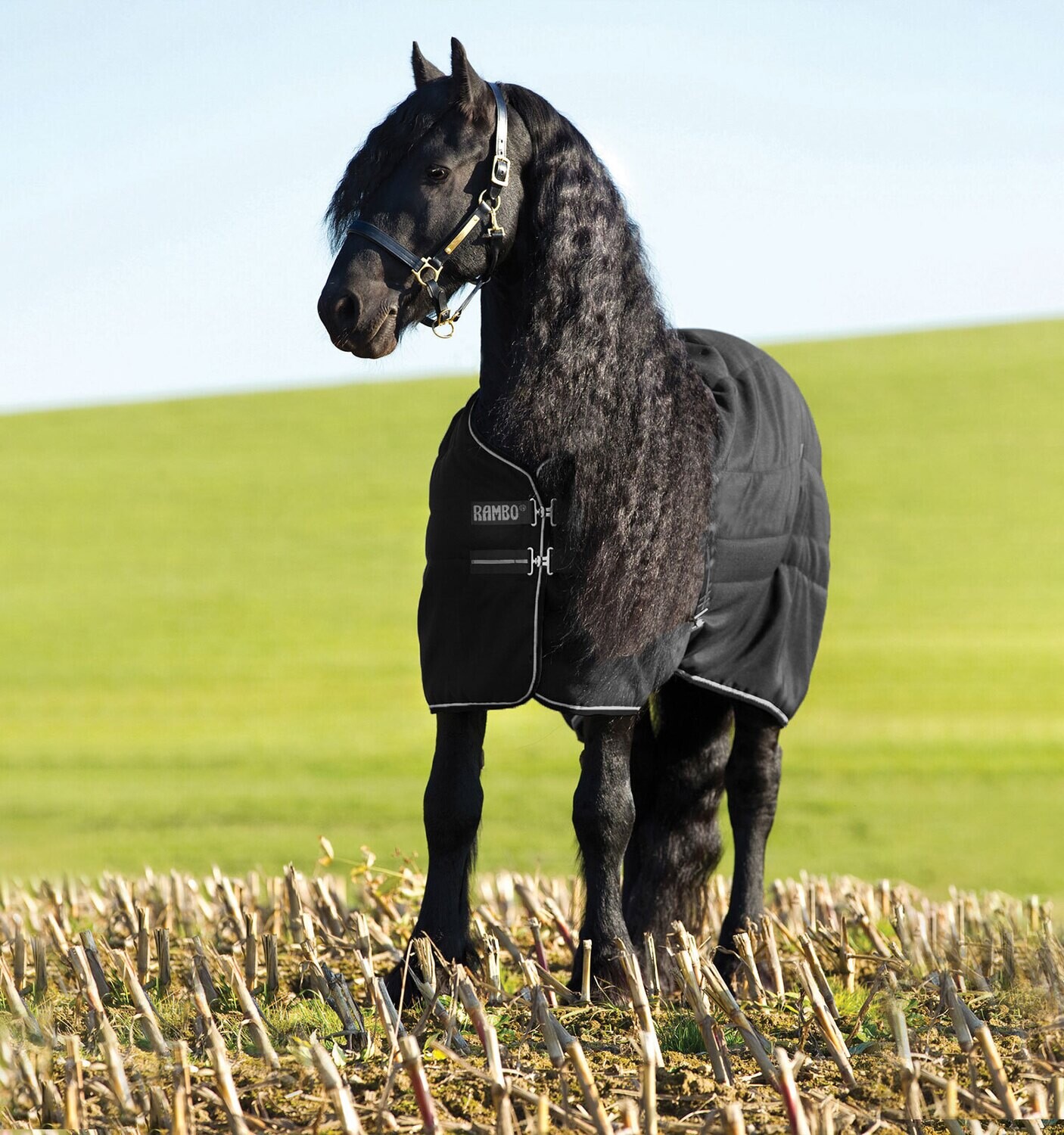 Couverture de Box Rambo 200gr - Horseware  ABAAA3 Black/gris