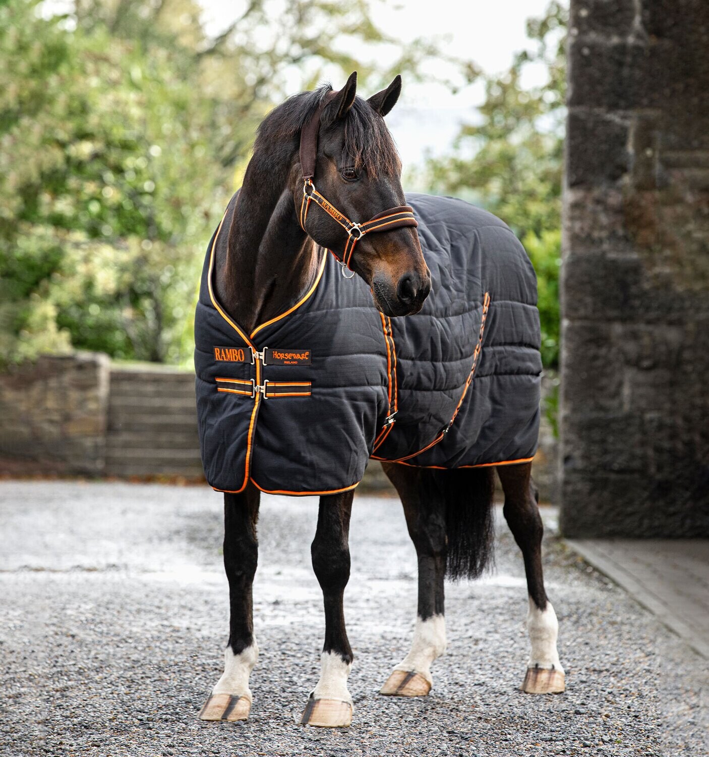 Rambo Rug 200g - Horseware Black/o