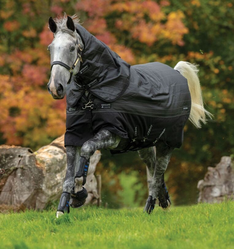 Amigo® Bravo 12 Reflectech Plus Turnout (250g Medium) Horseware AARP92