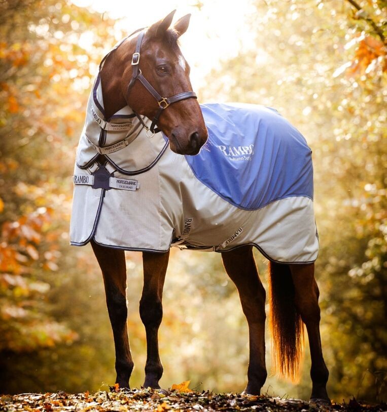 Rambo® Autumn Series Turnout (0g Outer with 100g Liner)Horseware AAAFMB