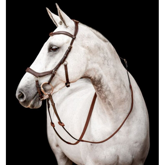 Bridon Rambo Micklem 2 Deluxe Competition  Horseware