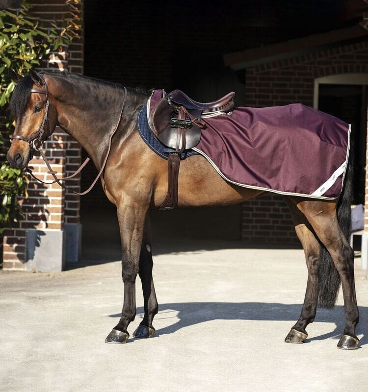 Amigo Ripstop Competition Sheet  Horseware